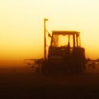 Traktor im Nebel