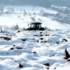 Traktor im Schnee