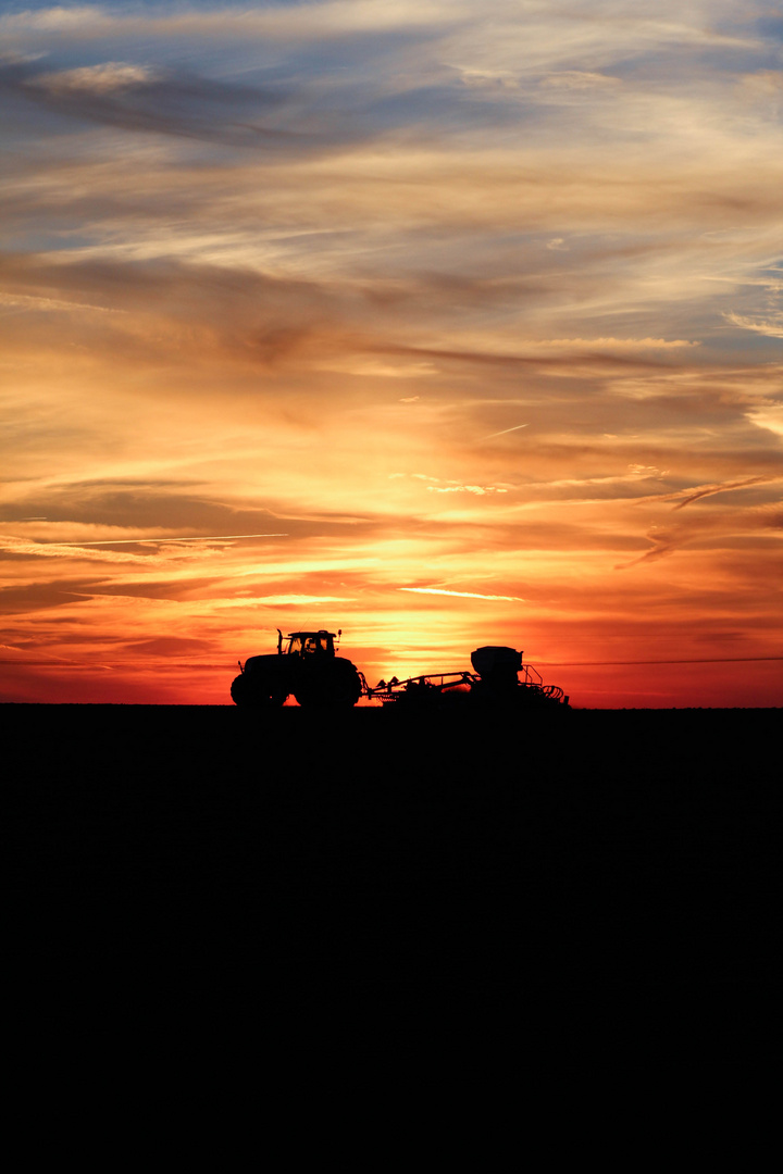 Traktor im Sonnenuntergang.