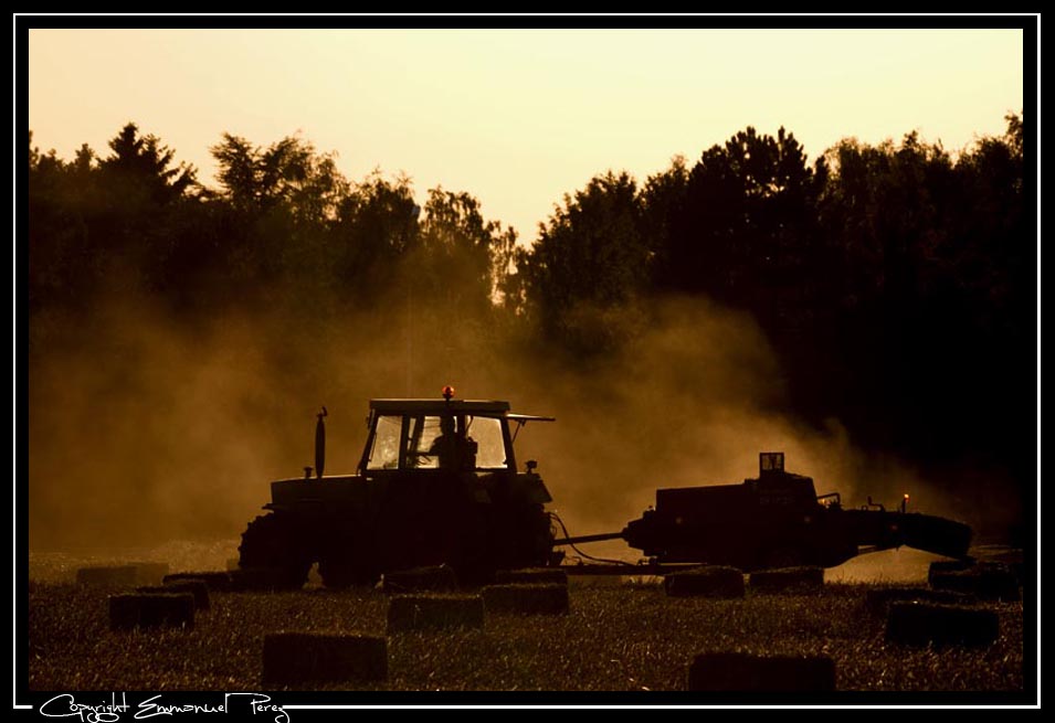 Traktor im Sonnenuntergang