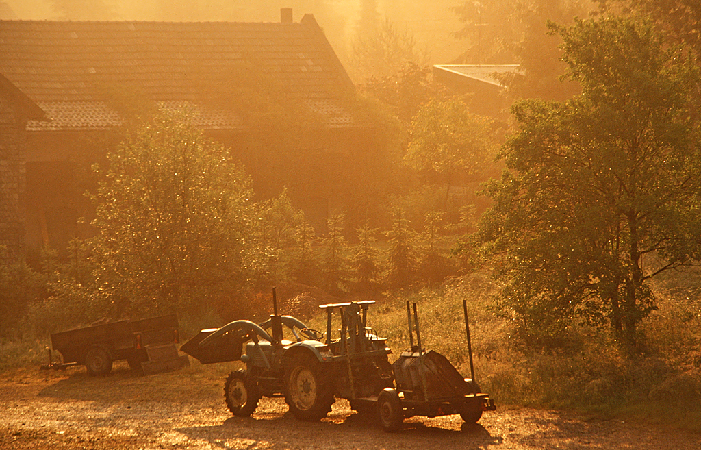 Traktor in der Morgensonne