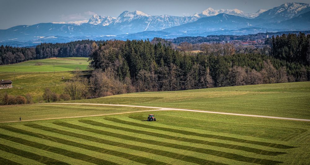 Traktor mit  Aussicht