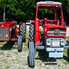 Traktorenschau (3) - Massey Ferguson, International