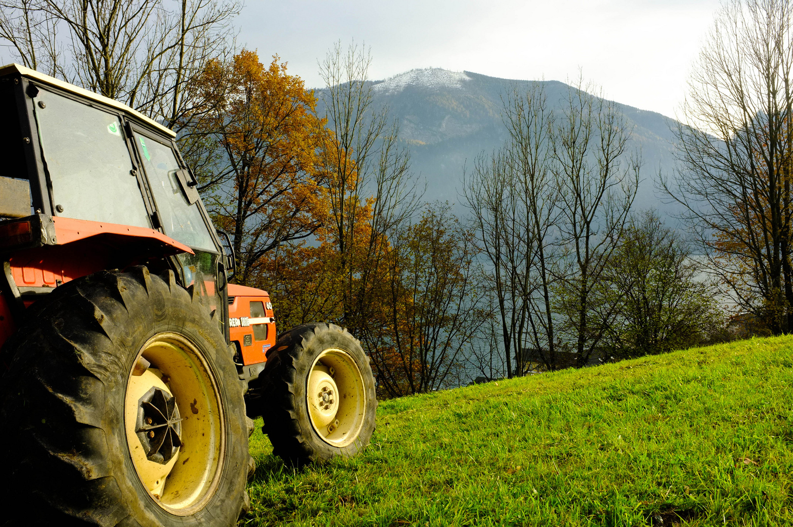 Traktor_in_der_Herbstsonne