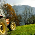 Traktor_in_der_Herbstsonne