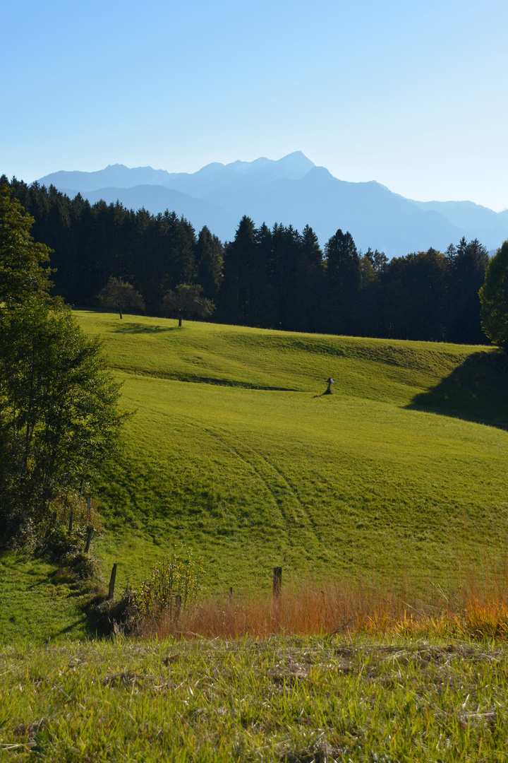  Traktorspuren im Herbst