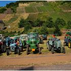 Traktortreffen an der Mosel