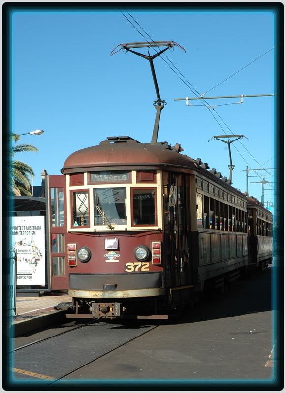 Tram - Adelaide-Glenelg