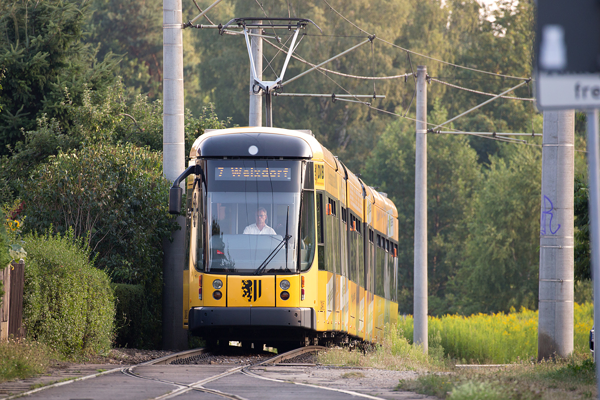 Tram im Grünen