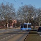 Tram im Stadtbild (2 von 3)