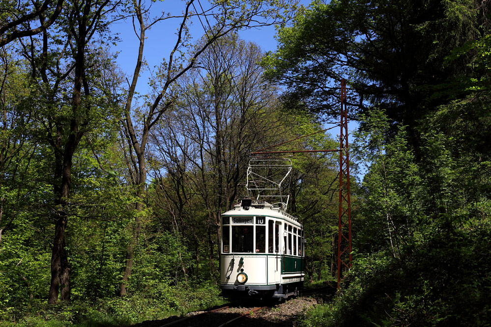 Tram im Wald