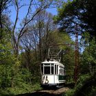 Tram im Wald