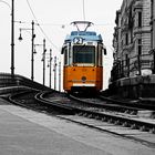 tram in colour