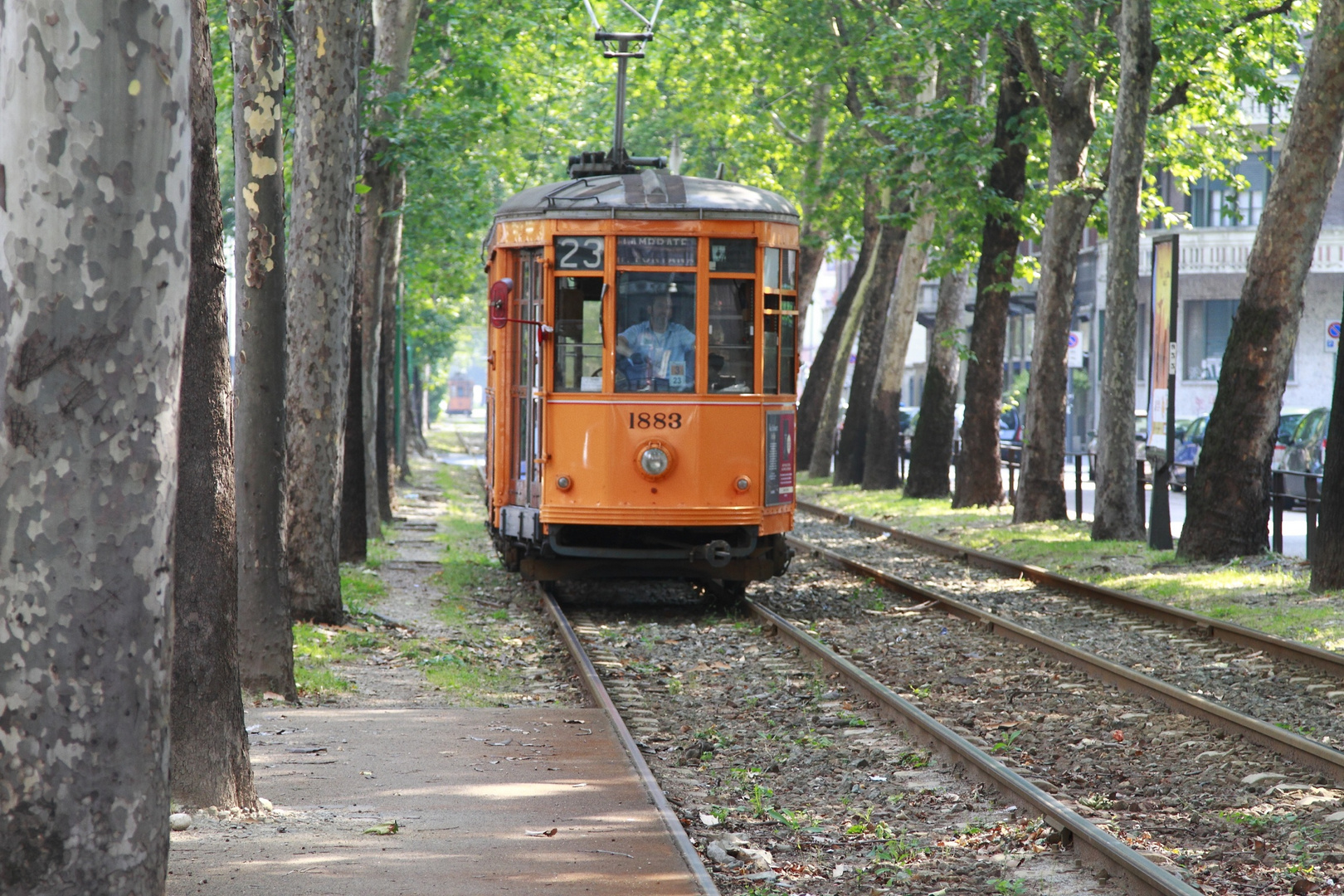 tram in Mlan