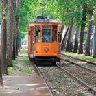 tram in Mlan