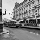 Tram in Prag