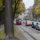 Tram in Wien
