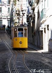 Tram Lissabon