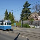 Tram Museum Zürich - Fotofahrt 9. April 2017