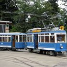 Tram Museum Zürich, Museumslinie 21