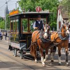 Tram-Parade mit Pferden