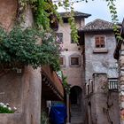 Tramin in Südtirol