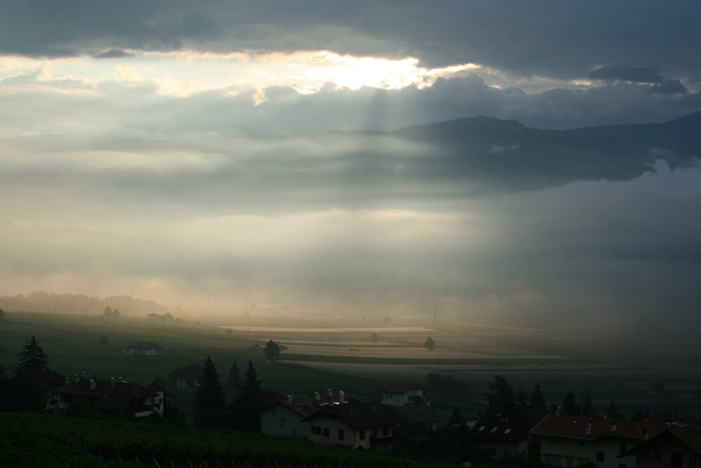 Tramin - Südtirol