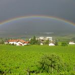 Tramin - Südtirol