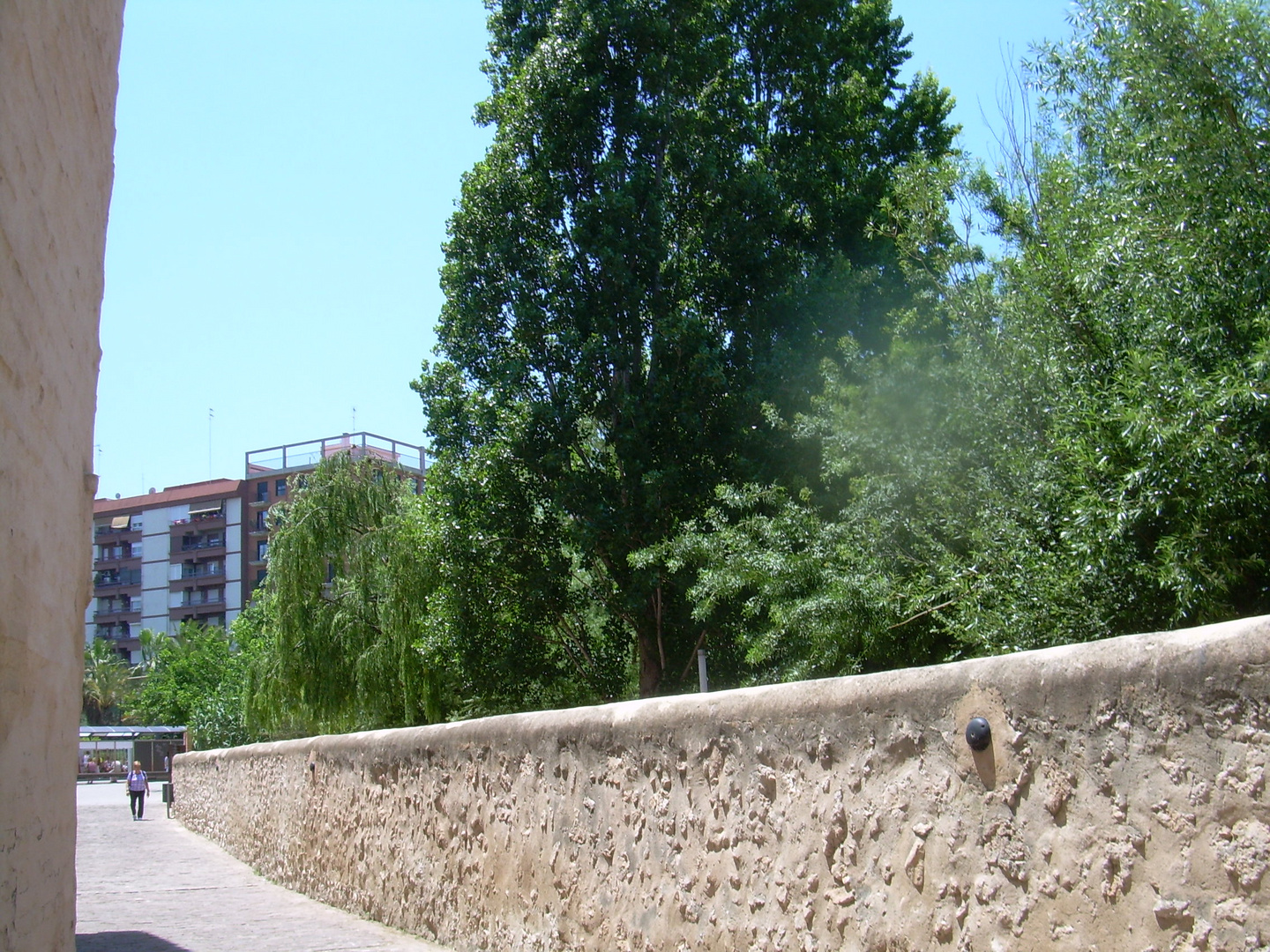 Tramo de calzada en el antiquisimo Marjalena.