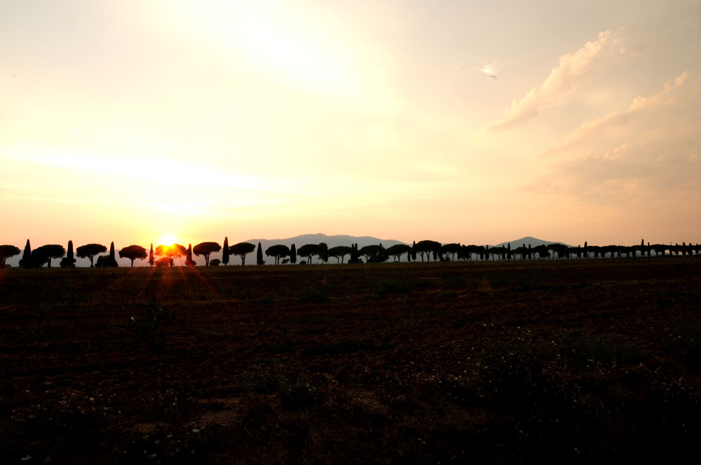 Tramonti di Maremma