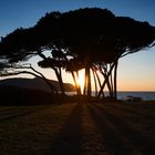 Tramonto a Baratti