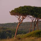 Tramonto a Baratti