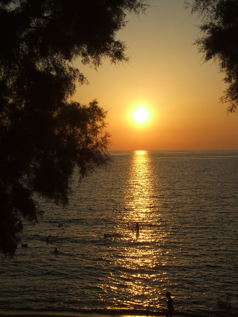 Tramonto a Bolgheri