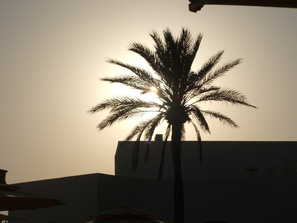 Tramonto a Djerba