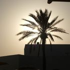 Tramonto a Djerba