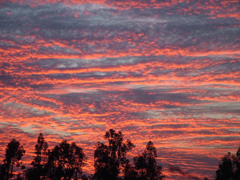 Tramonto a Koinomadelfia - Mallocco - Penaflor