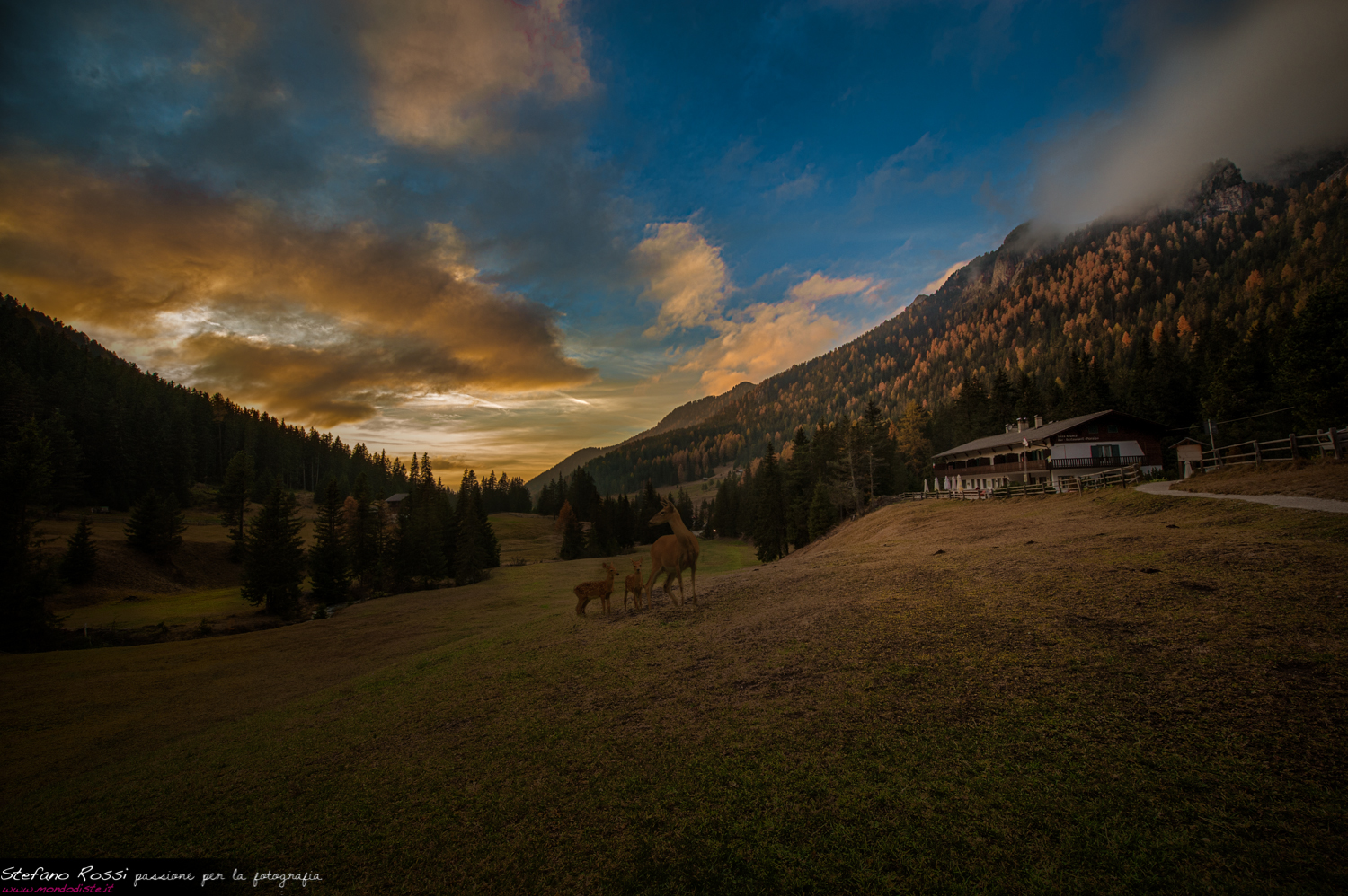 Tramonto a Malga Zannes