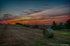 Tramonto a Maranello