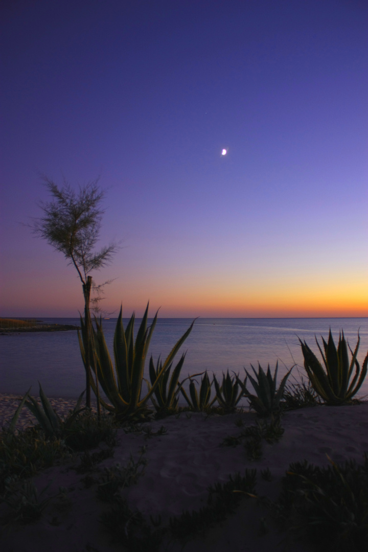 Tramonto a Porto Cesareo