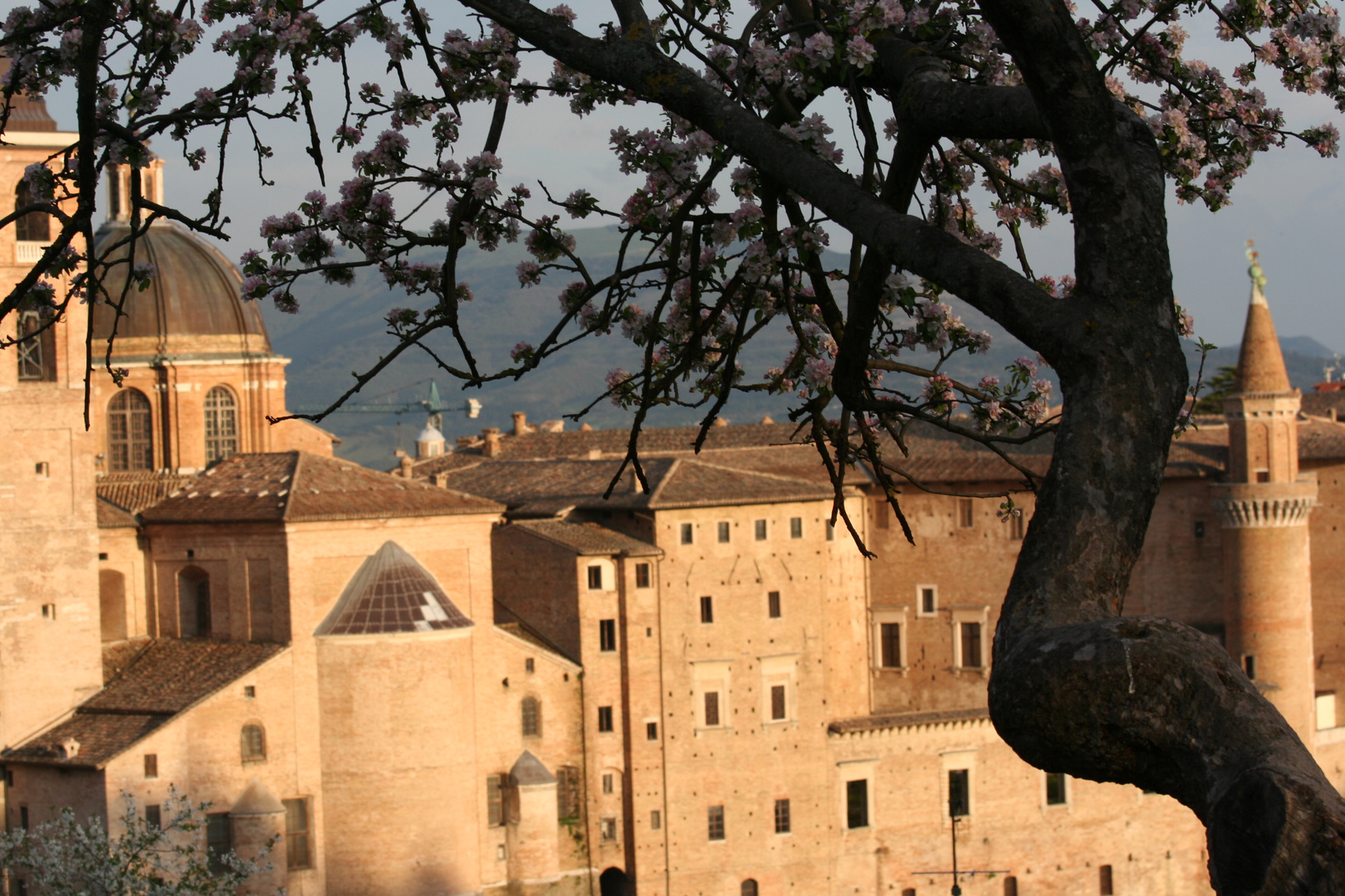 tramonto a Urbino