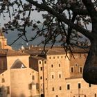 tramonto a Urbino