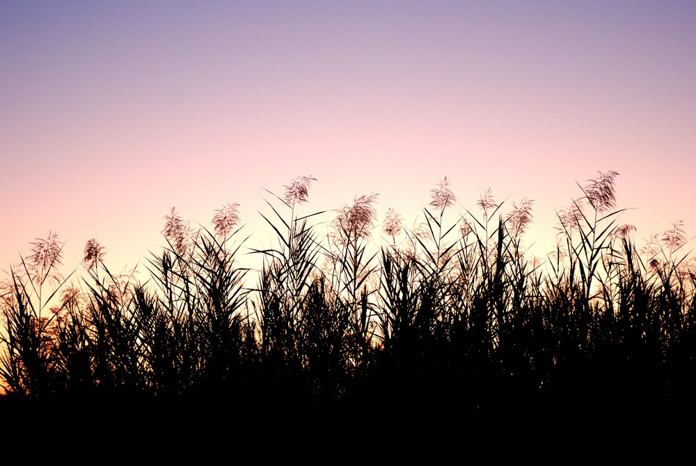 Tramonto africano.