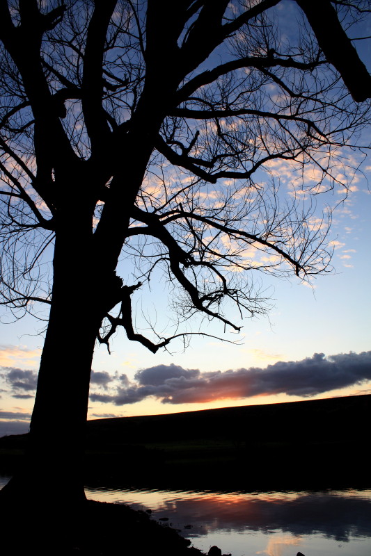 tramonto al lago