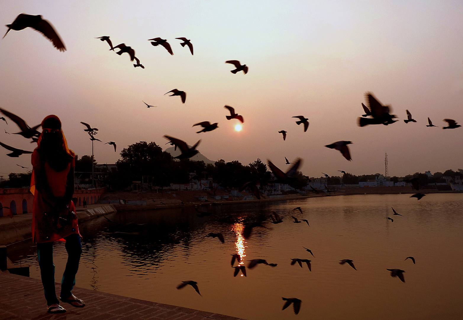 Tramonto al lago di Pushkar