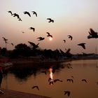 Tramonto al lago di Pushkar