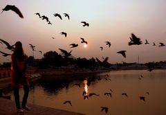 Tramonto al lago di Pushkar