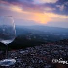 Tramonto al profumo di vino