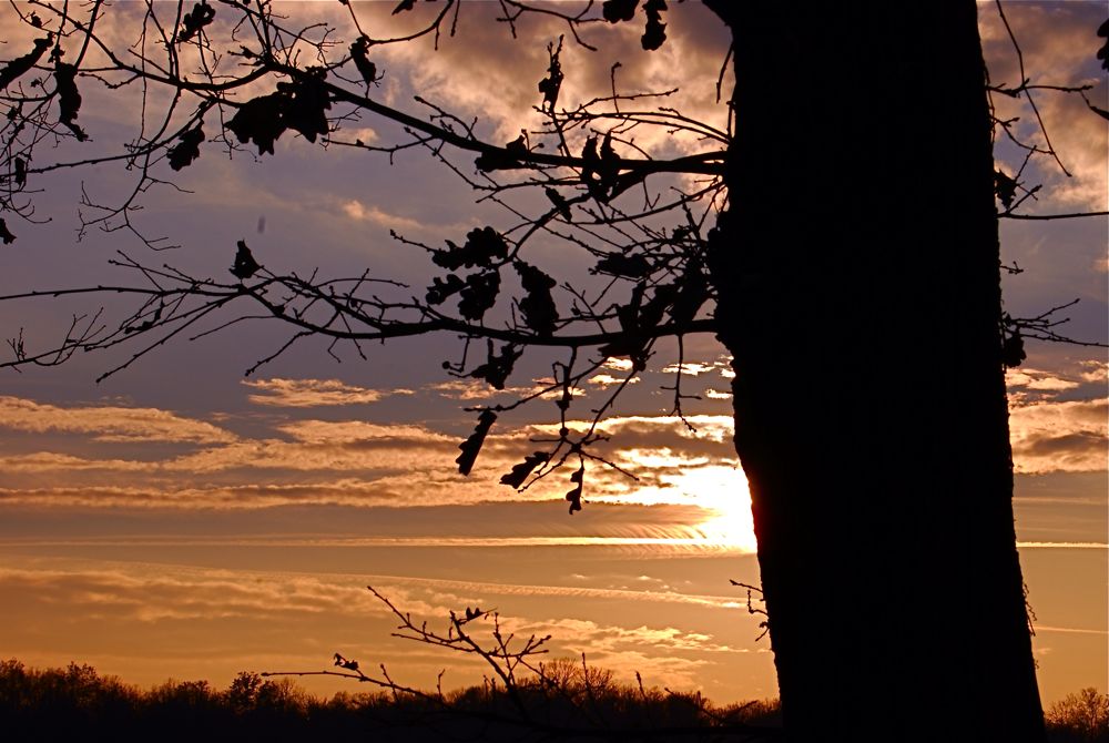 tramonto autunnale di BARBARA NIGRO 