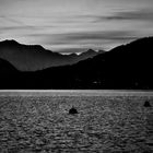 Tramonto, b&w