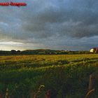 Tramonto campagna Irlandese.